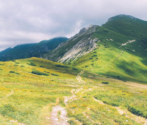 ddos在线攻击工具